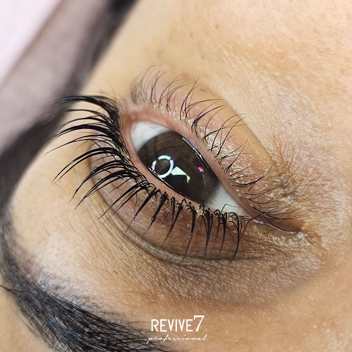 Revive7 Professional 4-in-1 Kit: Lash Lift, Brow Lamination, Tint & Revive- LASHFOREVER CANADA