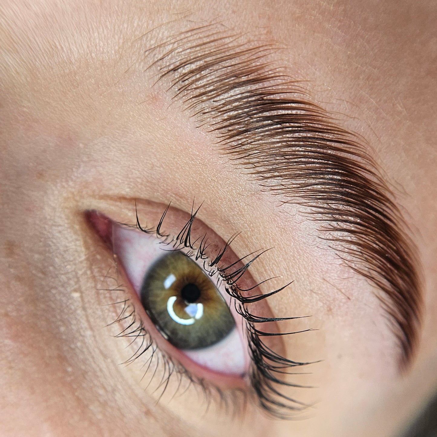 Revive7 Professional 4-in-1 Kit: Lash Lift, Brow Lamination, Tint & Revive- LASHFOREVER CANADA