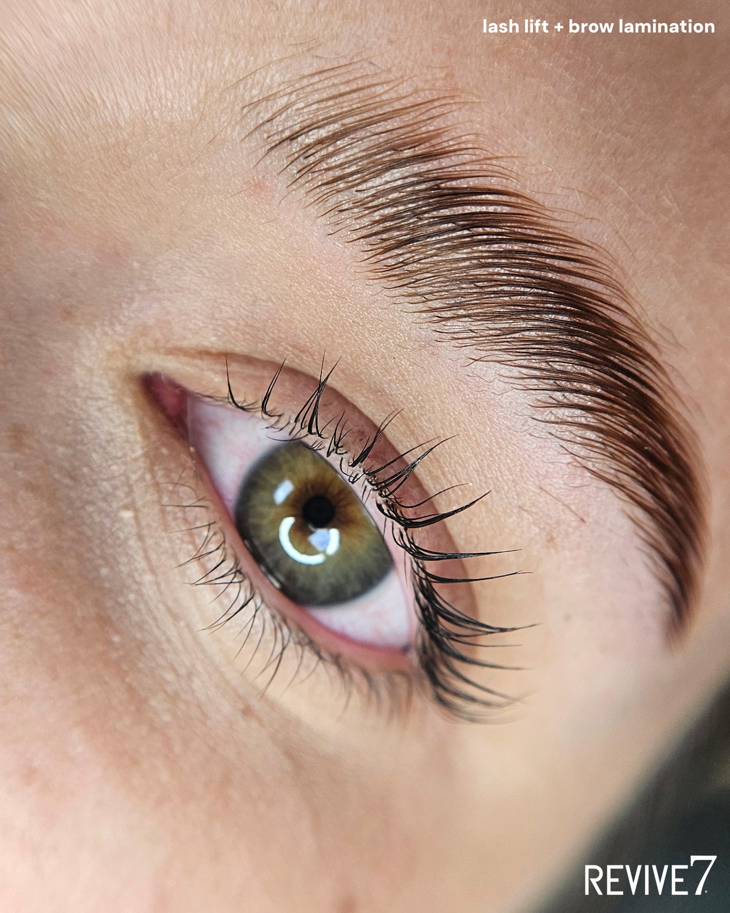Pro Lash Lift and Brow Lamination Online Course- LASHFOREVER CANADA