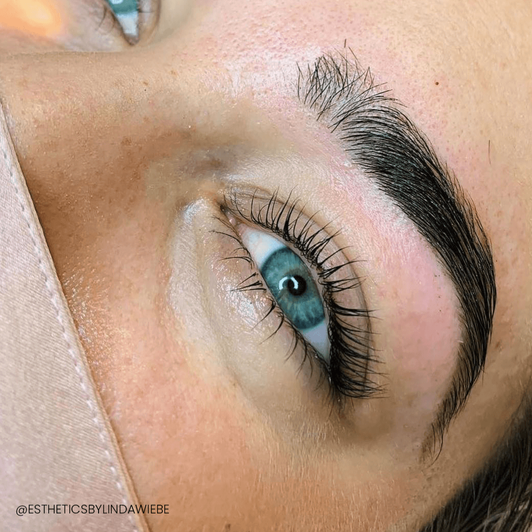 Pro Lash Lift and Brow Lamination Online Course- LASHFOREVER CANADA