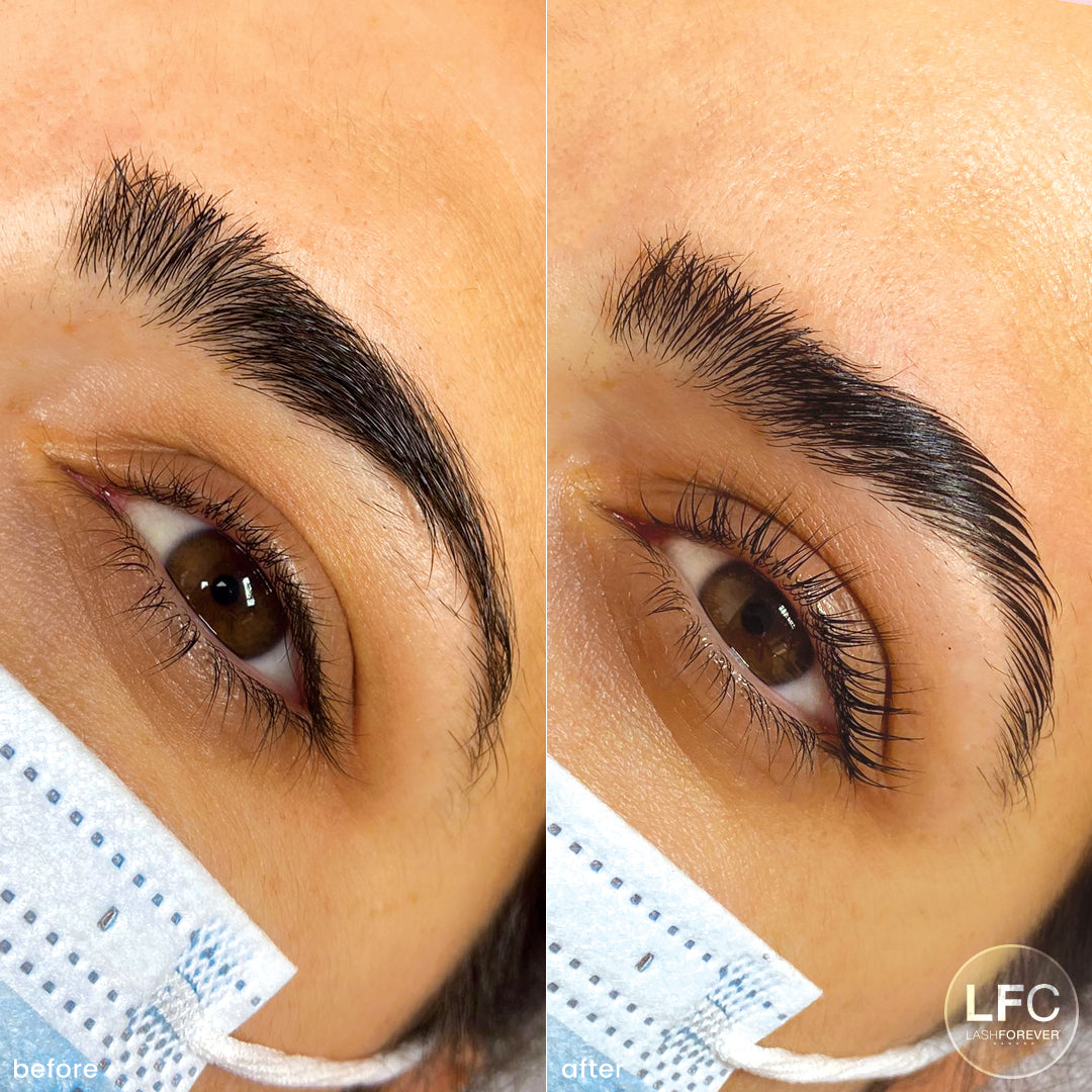 Bold Brows & Lashes Online-Online Course LASHFOREVER CANADA