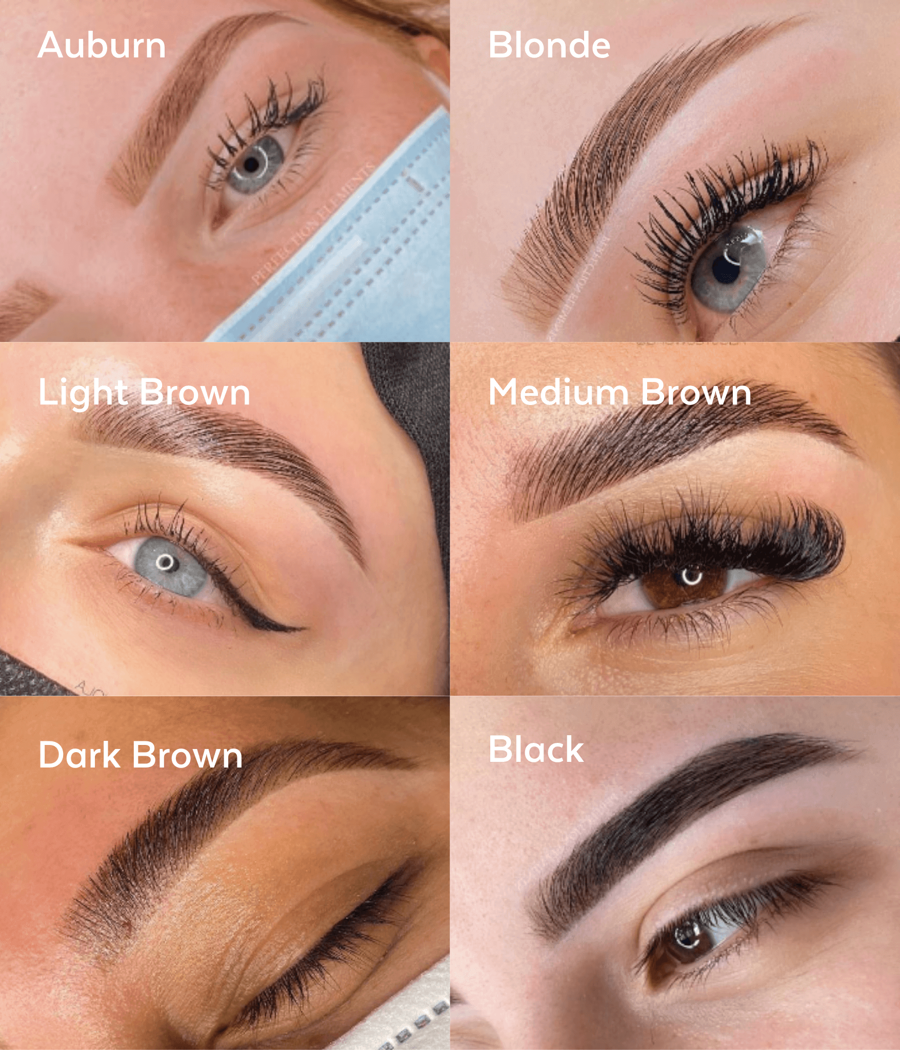 SUPERCILIUM Brow Henna Kit-Supercilium LASHFOREVER CANADA