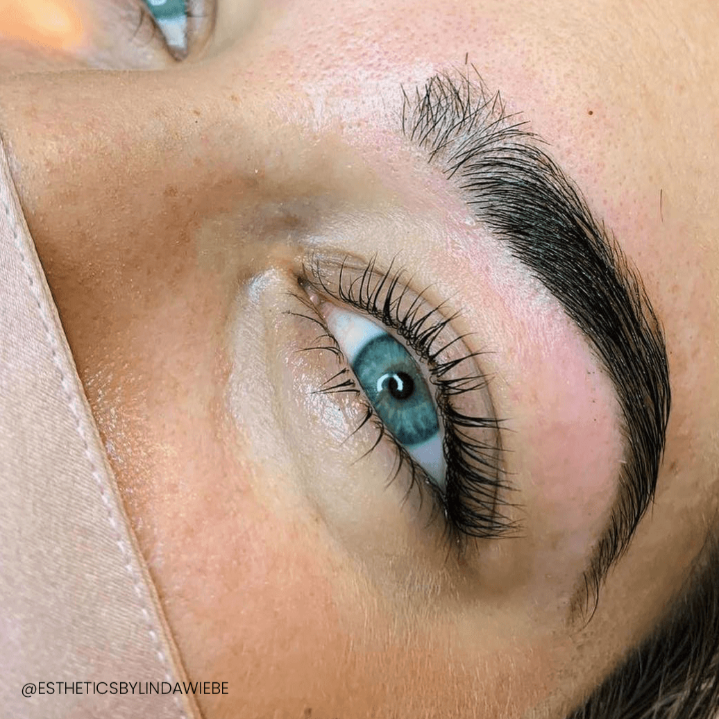 Pro Lash Lift and Brow Lamination Online Course