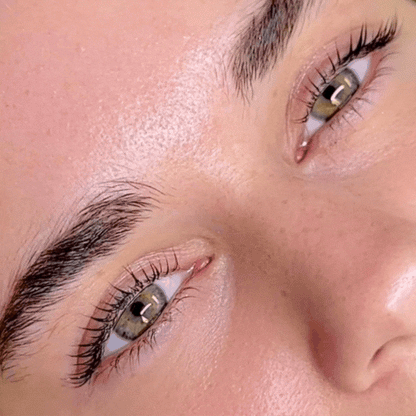 Pro Lash Lift and Brow Lamination Online Course